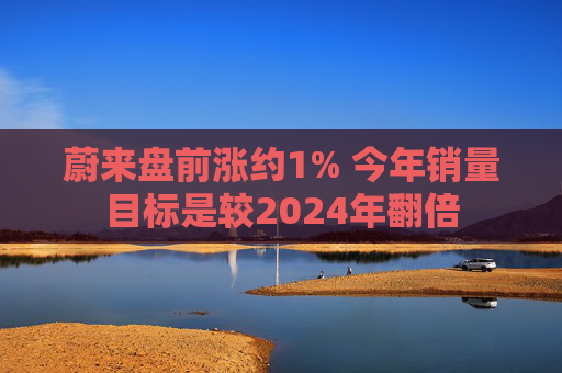 蔚来盘前涨约1% 今年销量目标是较2024年翻倍