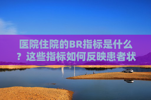 医院住院的BR指标是什么？这些指标如何反映患者状况？