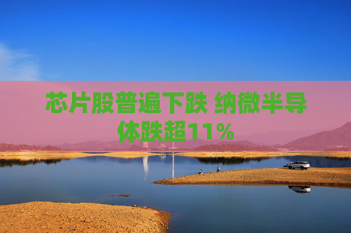 芯片股普遍下跌 纳微半导体跌超11%