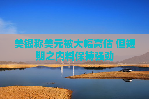 美银称美元被大幅高估 但短期之内料保持强劲