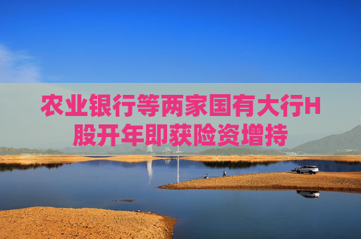 农业银行等两家国有大行H股开年即获险资增持