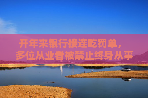 开年来银行接连吃罚单， 多位从业者被禁止终身从事银行业工作