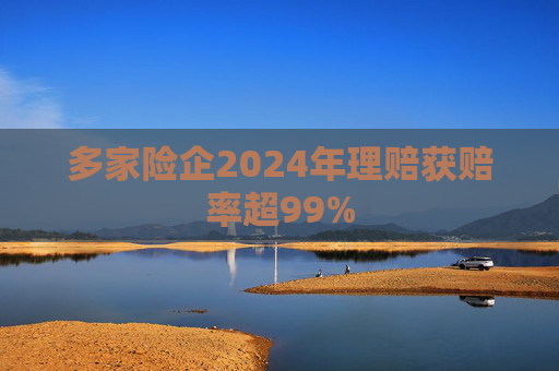 多家险企2024年理赔获赔率超99%