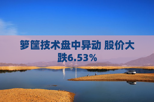箩筐技术盘中异动 股价大跌6.53%