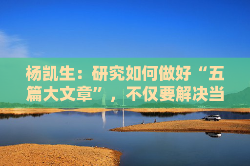 杨凯生：研究如何做好“五篇大文章”，不仅要解决当下的问题还要思考其长远目标