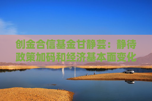 创金合信基金甘静芸：静待政策加码和经济基本面变化