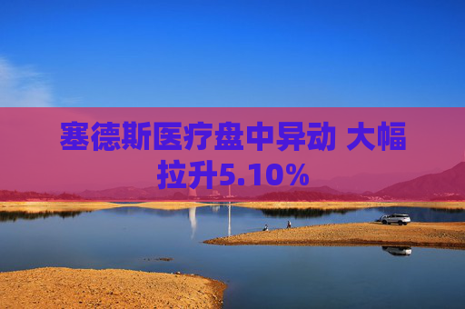 塞德斯医疗盘中异动 大幅拉升5.10%