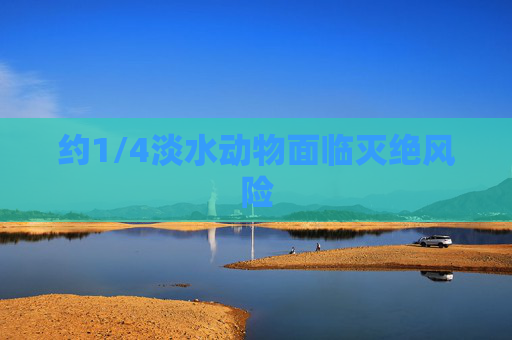 约1/4淡水动物面临灭绝风险