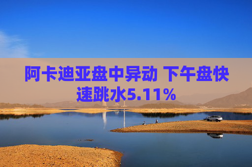 阿卡迪亚盘中异动 下午盘快速跳水5.11%