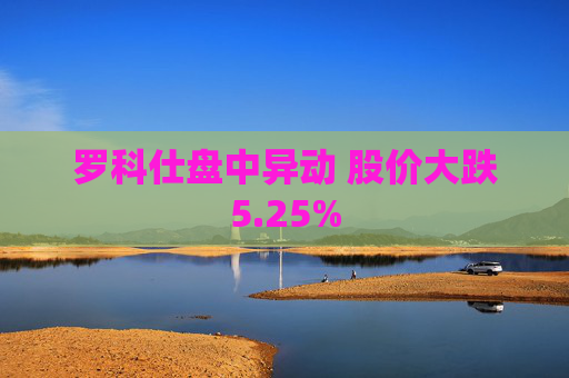 罗科仕盘中异动 股价大跌5.25%