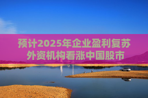 预计2025年企业盈利复苏 外资机构看涨中国股市
