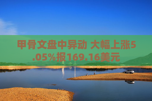 甲骨文盘中异动 大幅上涨5.05%报169.16美元