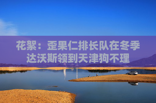 花絮：歪果仁排长队在冬季达沃斯领到天津狗不理