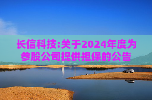 长信科技:关于2024年度为参股公司提供担保的公告