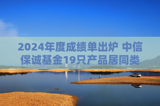 2024年度成绩单出炉 中信保诚基金19只产品居同类前10%
