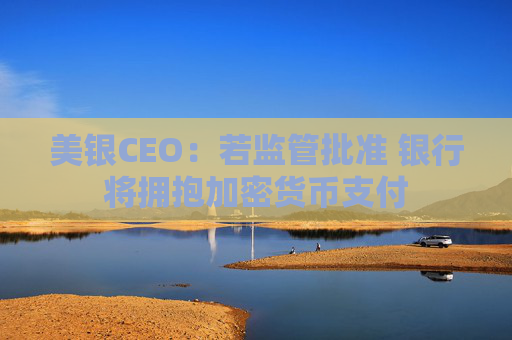 美银CEO：若监管批准 银行将拥抱加密货币支付