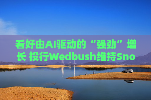 看好由AI驱动的“强劲”增长 投行Wedbush维持Snowflake“跑赢大盘”评级