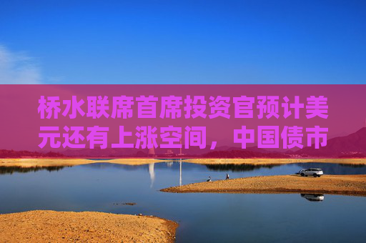 桥水联席首席投资官预计美元还有上涨空间，中国债市是好的多元化投资工具