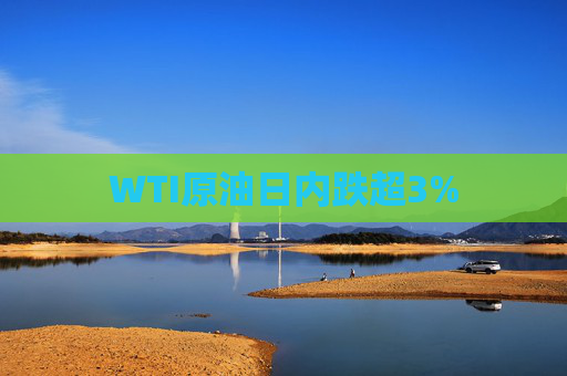 WTI原油日内跌超3%