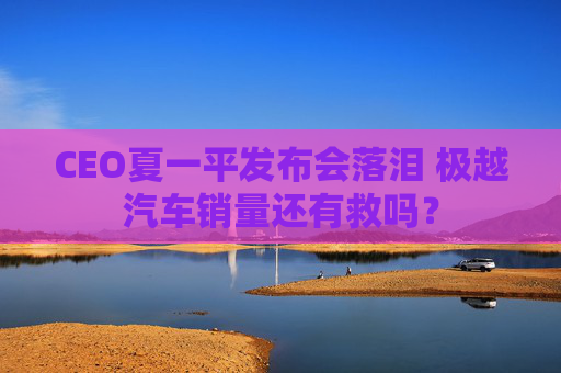 CEO夏一平发布会落泪 极越汽车销量还有救吗？