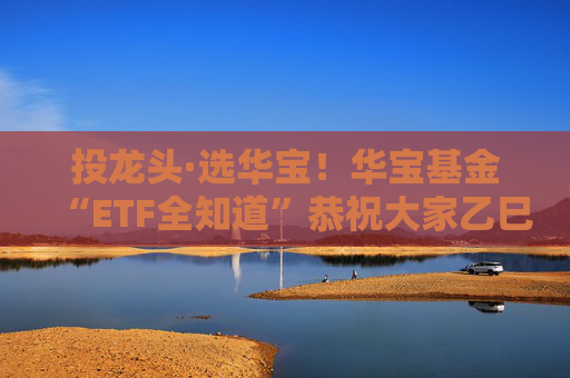 投龙头·选华宝！华宝基金“ETF全知道”恭祝大家乙巳蛇年：蛇来运转、巳巳如意， 财源广聚、长盈相随！