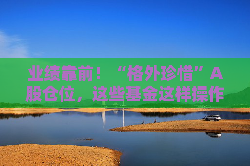 业绩靠前！“格外珍惜”A股仓位，这些基金这样操作！