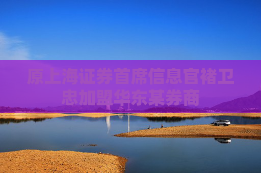 原上海证券首席信息官褚卫忠加盟华东某券商
