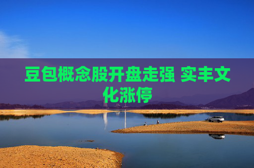 豆包概念股开盘走强 实丰文化涨停