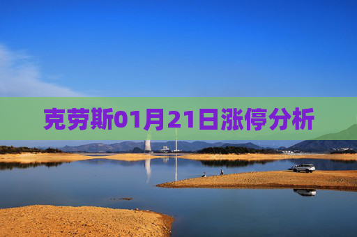 克劳斯01月21日涨停分析