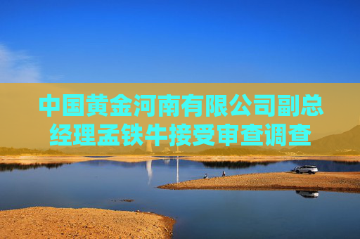 中国黄金河南有限公司副总经理孟铁牛接受审查调查