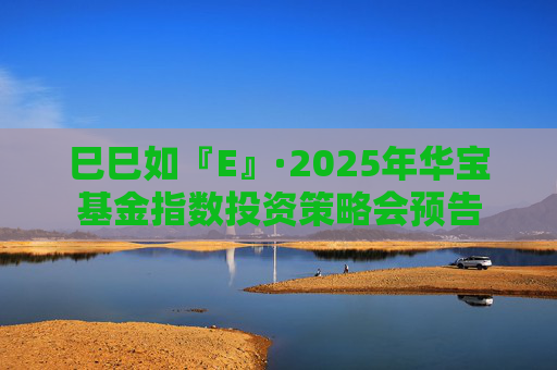 巳巳如『E』·2025年华宝基金指数投资策略会预告
