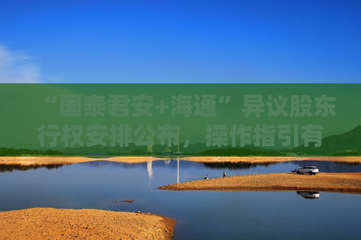 “国泰君安+海通”异议股东行权安排公布，操作指引有何关键信息？
