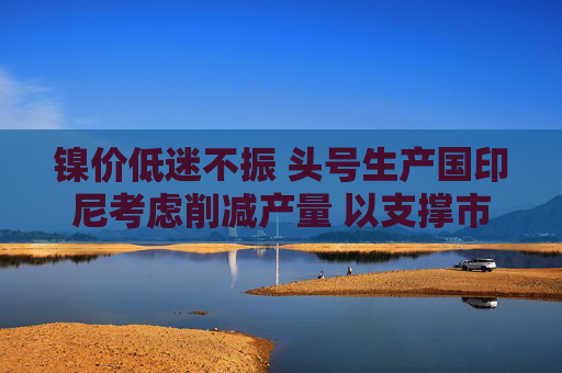 镍价低迷不振 头号生产国印尼考虑削减产量 以支撑市场