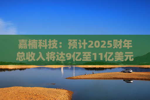 嘉楠科技：预计2025财年总收入将达9亿至11亿美元