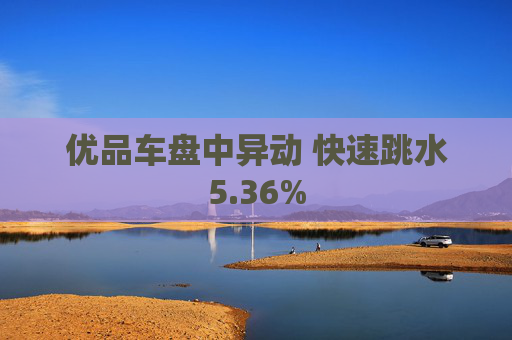 优品车盘中异动 快速跳水5.36%