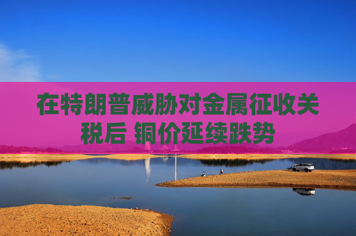 在特朗普威胁对金属征收关税后 铜价延续跌势