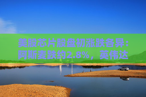 美股芯片股盘初涨跌各异：阿斯麦跌约2.8%，英伟达涨0.5%