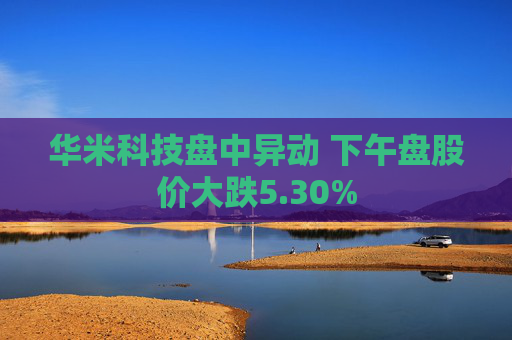 华米科技盘中异动 下午盘股价大跌5.30%
