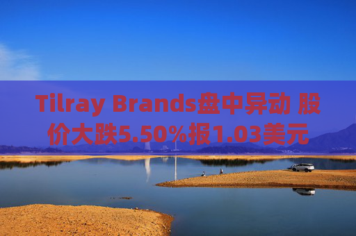 Tilray Brands盘中异动 股价大跌5.50%报1.03美元
