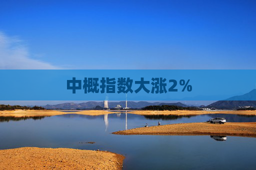 中概指数大涨2%