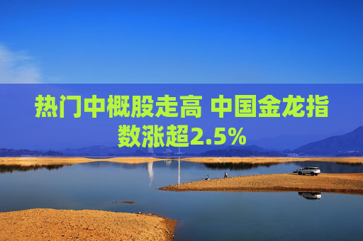 热门中概股走高 中国金龙指数涨超2.5%