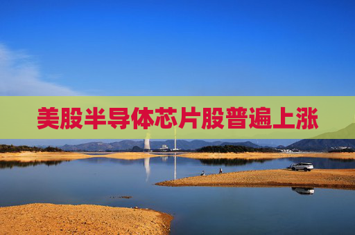 美股半导体芯片股普遍上涨