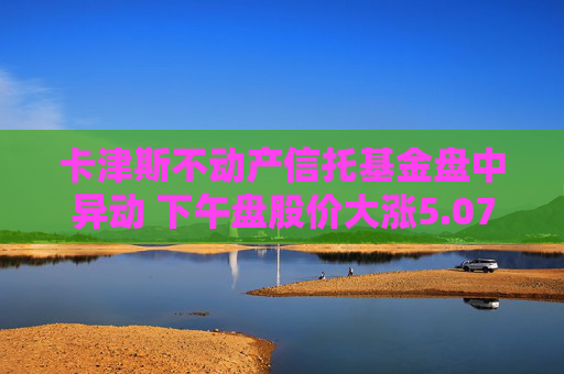 卡津斯不动产信托基金盘中异动 下午盘股价大涨5.07%报30.80美元