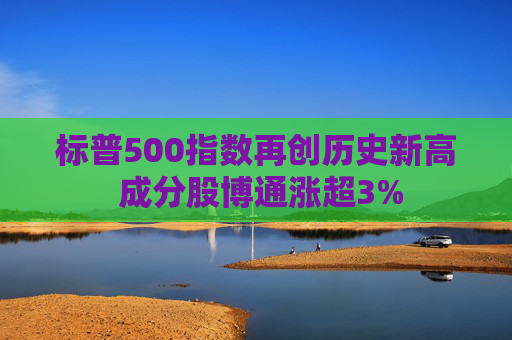 标普500指数再创历史新高 成分股博通涨超3%