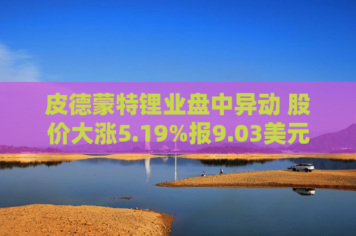 皮德蒙特锂业盘中异动 股价大涨5.19%报9.03美元
