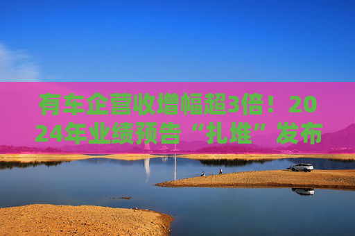 有车企营收增幅超3倍！2024年业绩预告“扎堆”发布，哪些车企赚钱了？