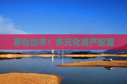 茅台出手！多元化资产配置
