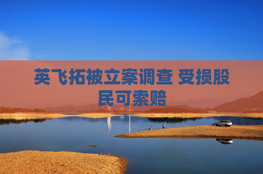 英飞拓被立案调查 受损股民可索赔