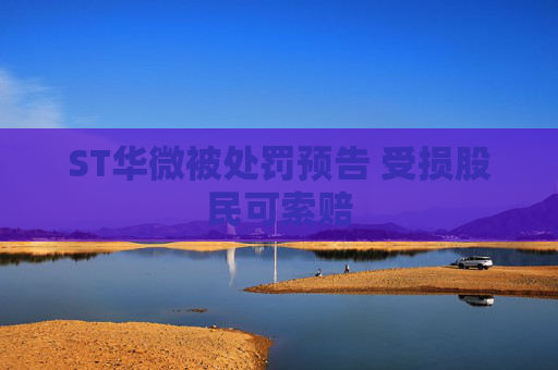 ST华微被处罚预告 受损股民可索赔