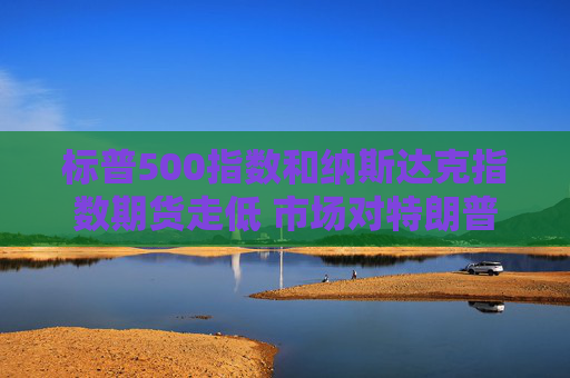 标普500指数和纳斯达克指数期货走低 市场对特朗普下令加征关税做出反应